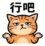 855804425