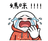 855804508