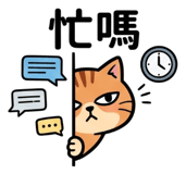 855805082