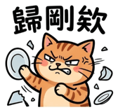 855805256
