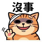 855805280