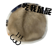 855805605