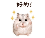 855806316