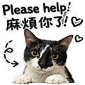 855806478