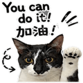 855806479
