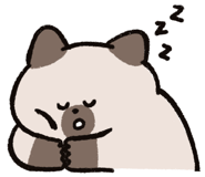 855806559