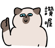 855806560