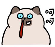 855806561
