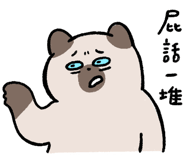 855806564