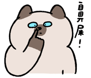 855806570