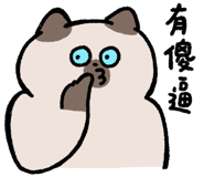 855806574