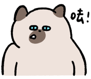 855806584