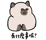 855806586