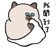 855806592
