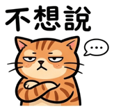 855806913