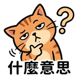 855806937