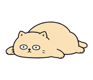 855807021