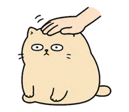855807026