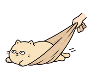855807027