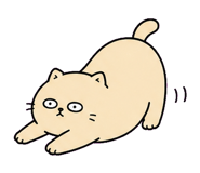 855807028