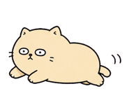 855807038