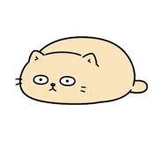 855807043