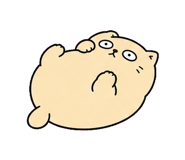 855807048