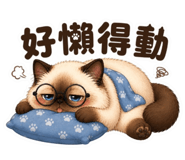 855807819