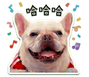 855810351