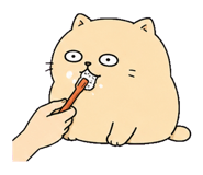 855811435