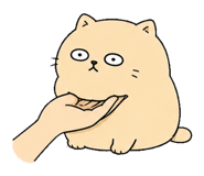 855811436