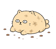 855811441