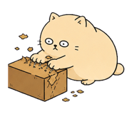 855811442