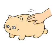 855811444