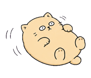 855811445