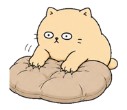 855811470