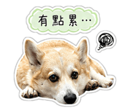 855812301