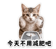 855812421