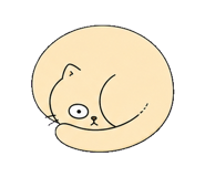 855812513