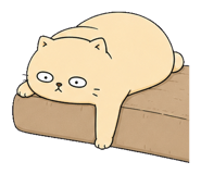 855812522