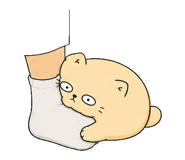 855812525