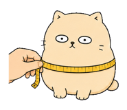 855812531