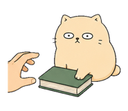 855812537