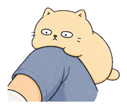 855812540