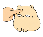 855812547