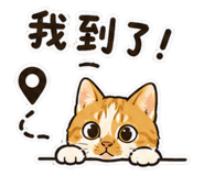 855812811