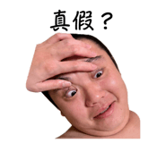 855813068