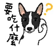 855813924
