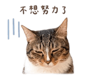 855814020