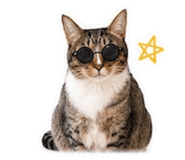 855814026